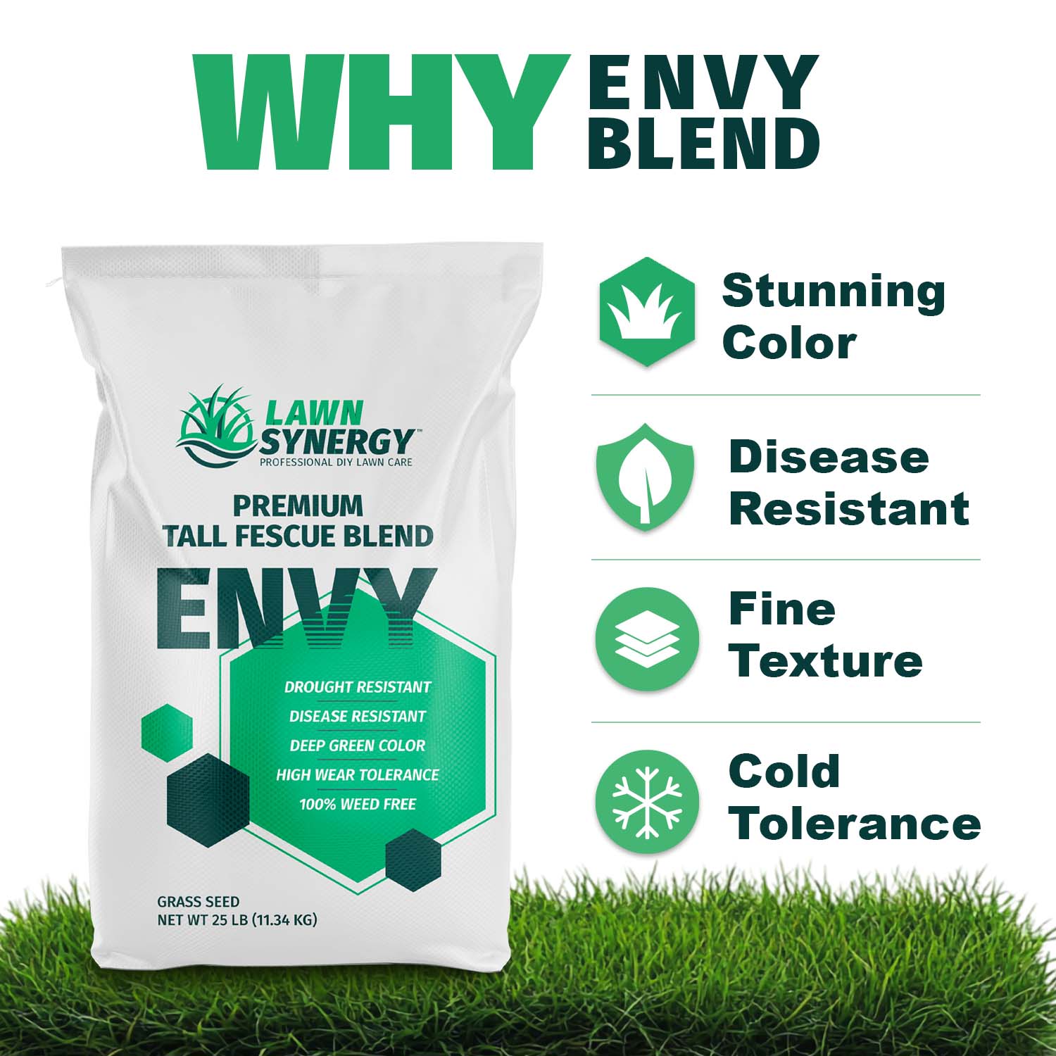 ENVY grass seed benefits