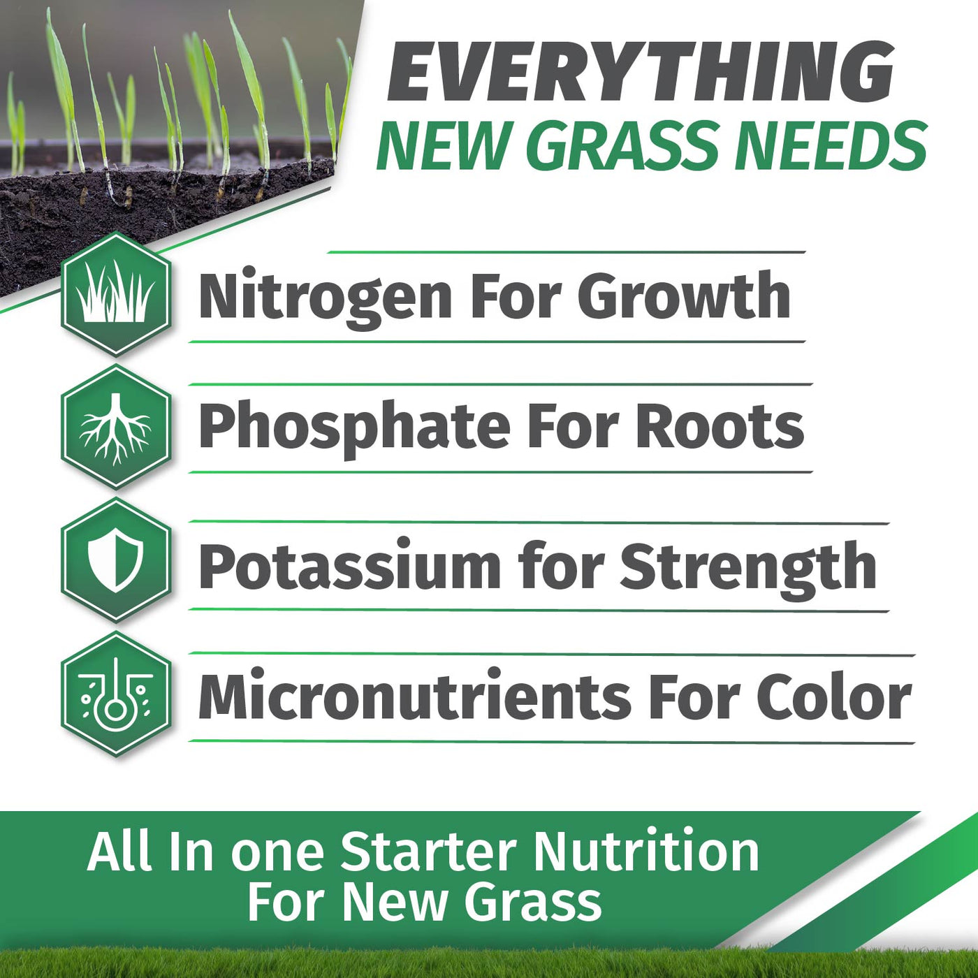Starter Fertilizer 15-20-10