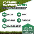 Starter Fertilizer 15-20-10
