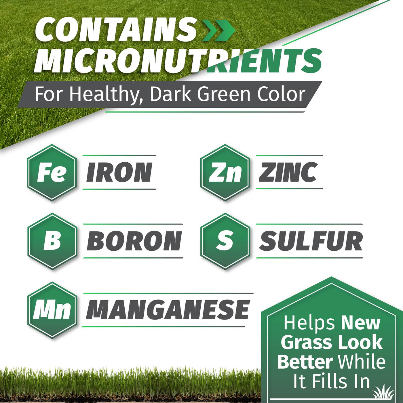 Starter Fertilizer 15-20-10
