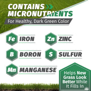 Iron and micronutrients for greener newly seeded turf