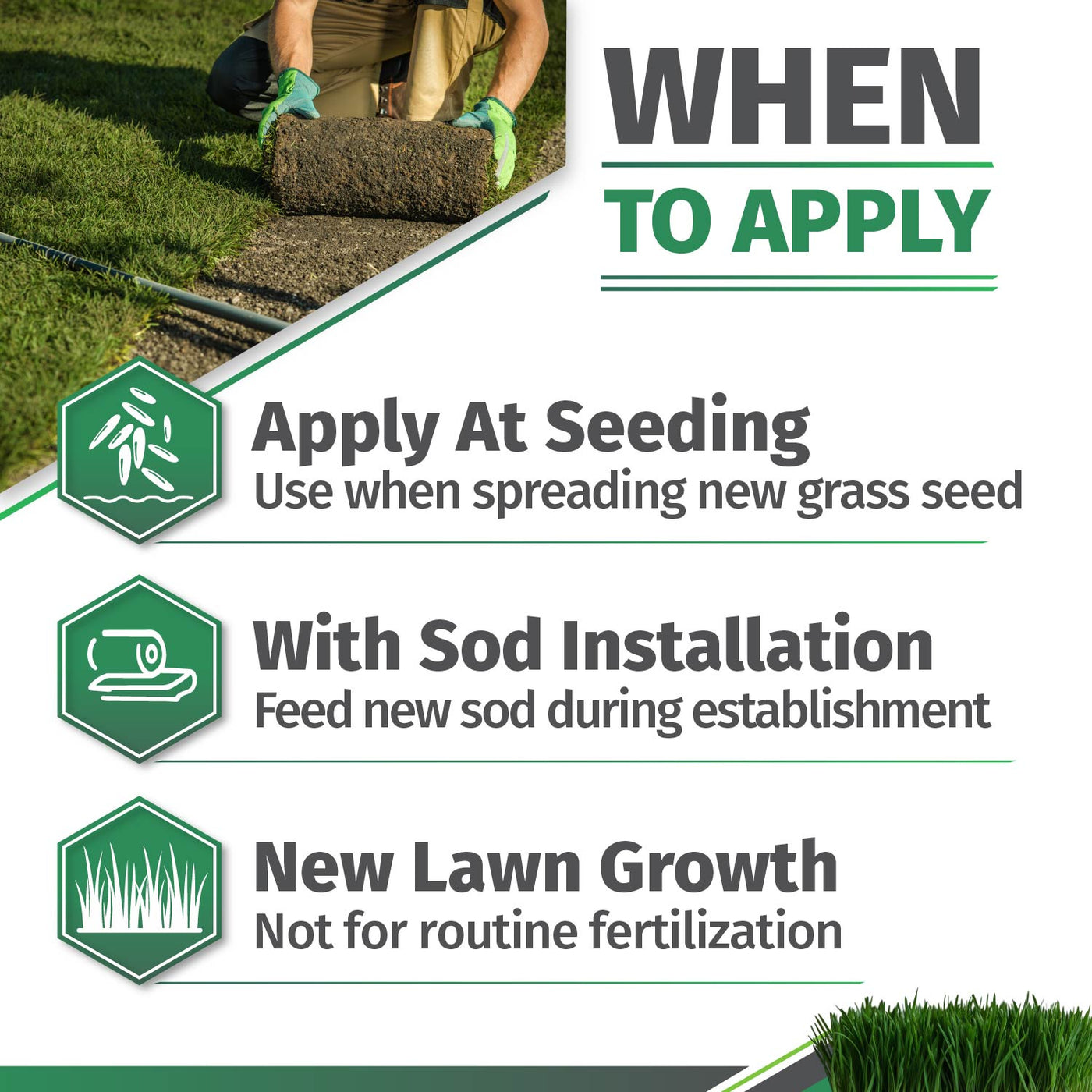 Starter Fertilizer 15-20-10