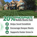 Starter Fertilizer 15-20-10