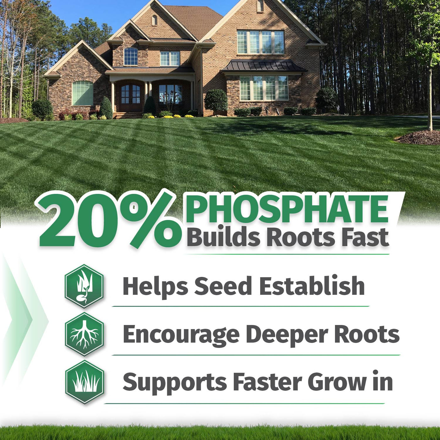 Starter Fertilizer 15-20-10