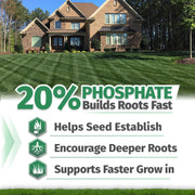 Starter fertilizer supports deeper root development