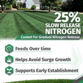 Starter Fertilizer 15-20-10