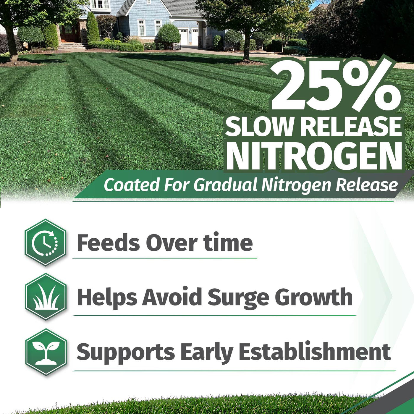 Starter Fertilizer 15-20-10