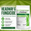 What headway g does