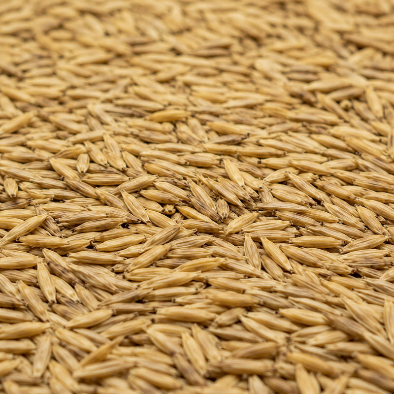 Grass Seed