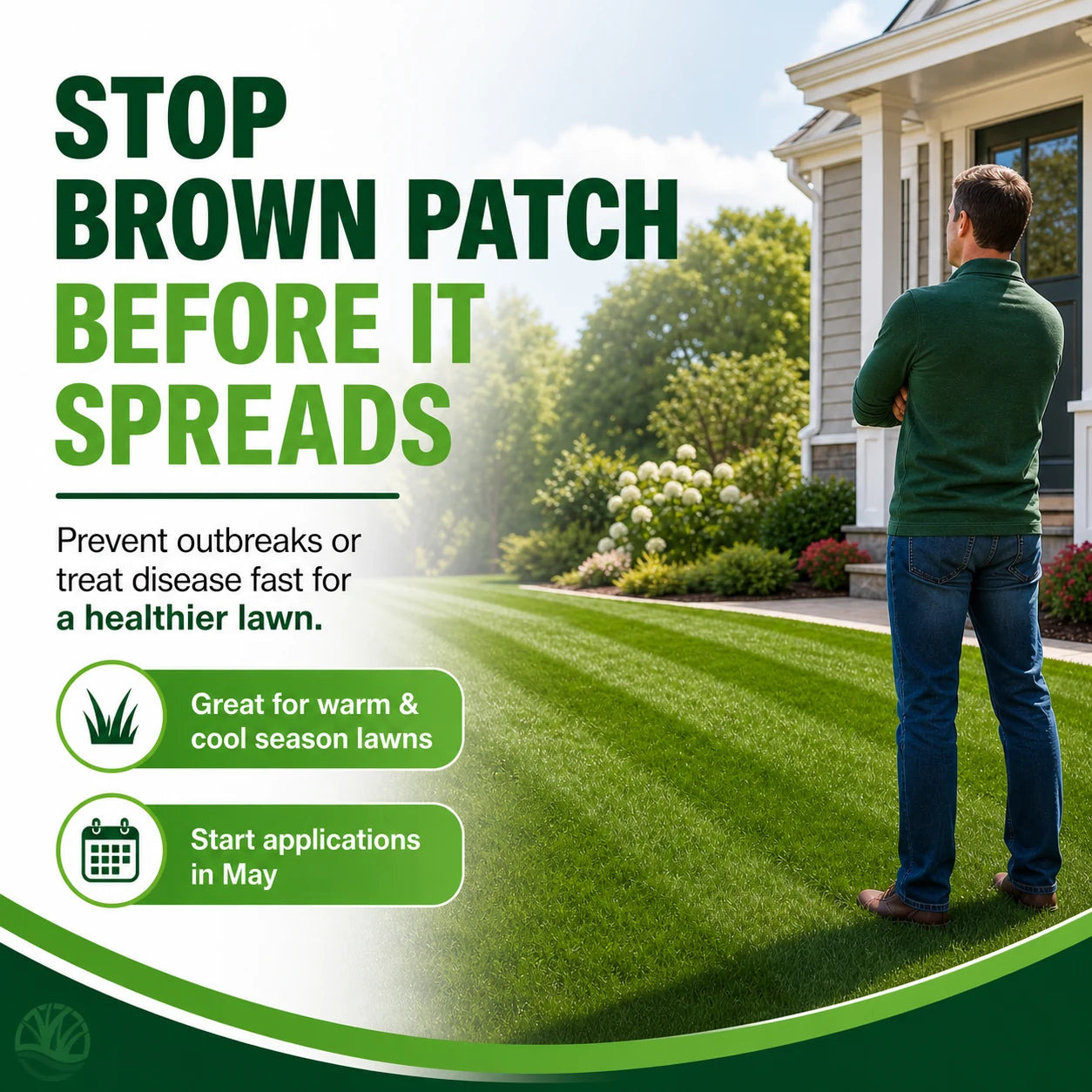 prevent brown patch disease