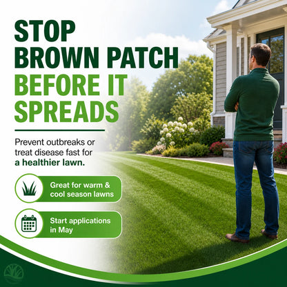 prevent brown patch disease