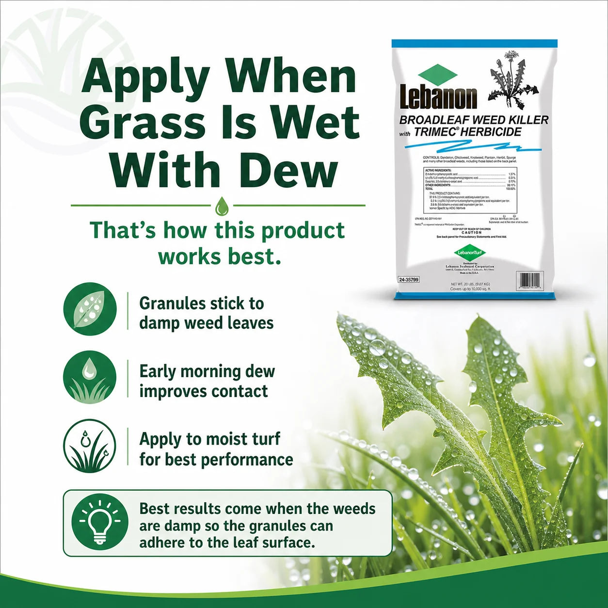 Granular Broadleaf Weed Killer