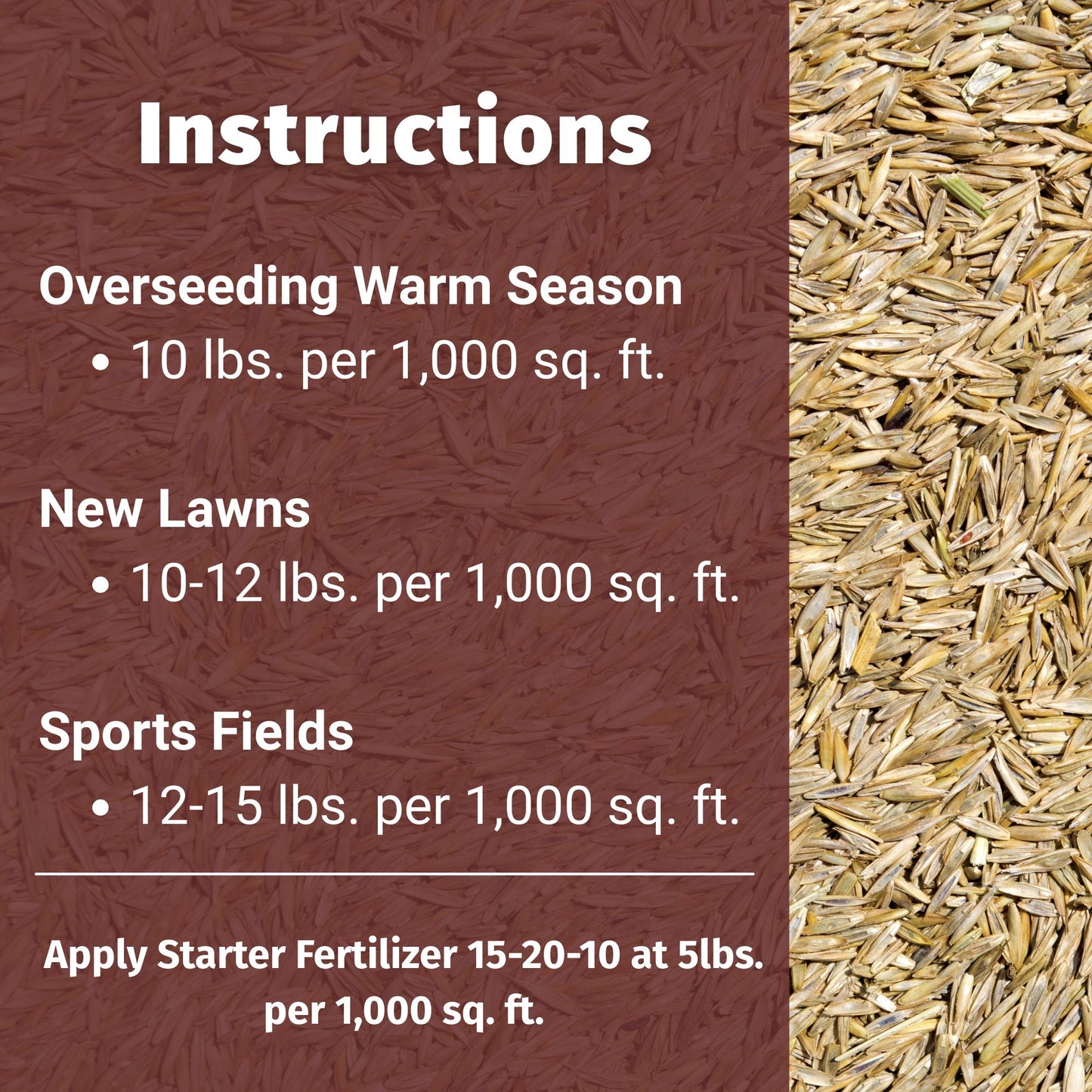 how to install perennial ryegrass seed