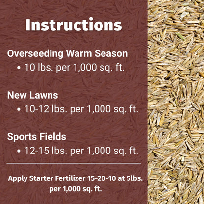 how to install perennial ryegrass seed