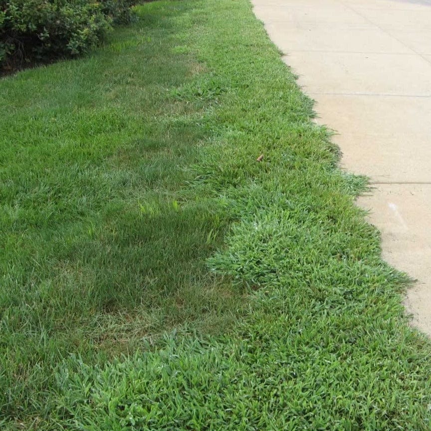 lesco stonewall herbicide label LESCO 0-0-7 Pre-Emergent Fertilizer Stonewall 0.37%