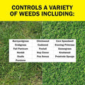 LESCO 0-0-7 Pre-Emergent Fertilizer Stonewall 0.37% - 50 lb.
