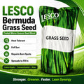 LESCO Bermudagrass Seed 3 lb. (Coated)
