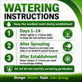Infographic with watering instructions for seedbed care, featuring green text and icons on a white background.