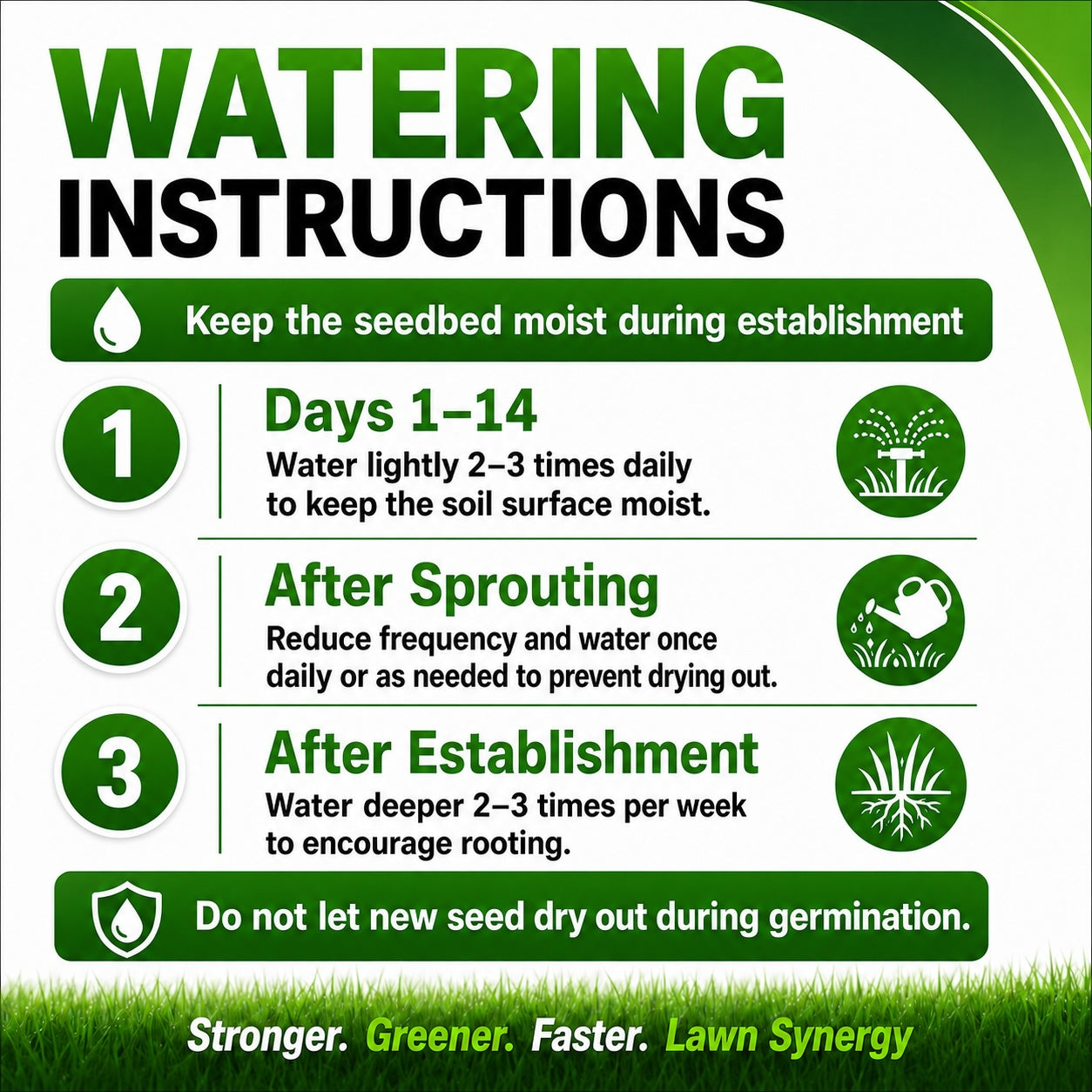 Infographic with watering instructions for seedbed care, featuring green text and icons on a white background.