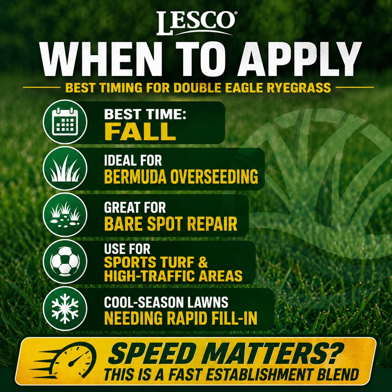 Lesco Double Eagle Perennial Ryegrass Blend