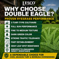 Lesco Double Eagle Perennial Ryegrass Blend
