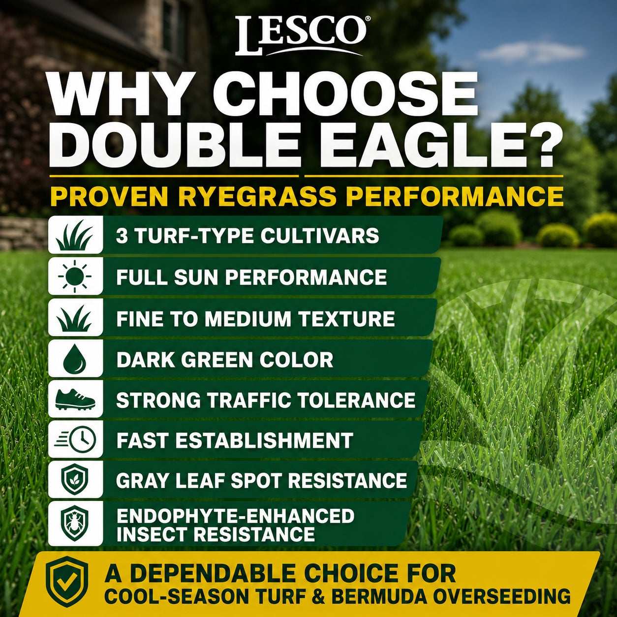 Lesco Double Eagle Perennial Ryegrass Blend