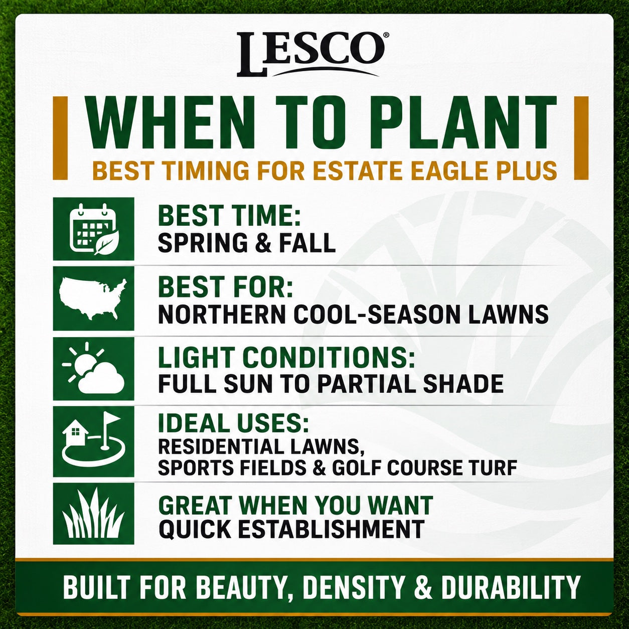 LESCO Estate Eagle Plus Grass Seed