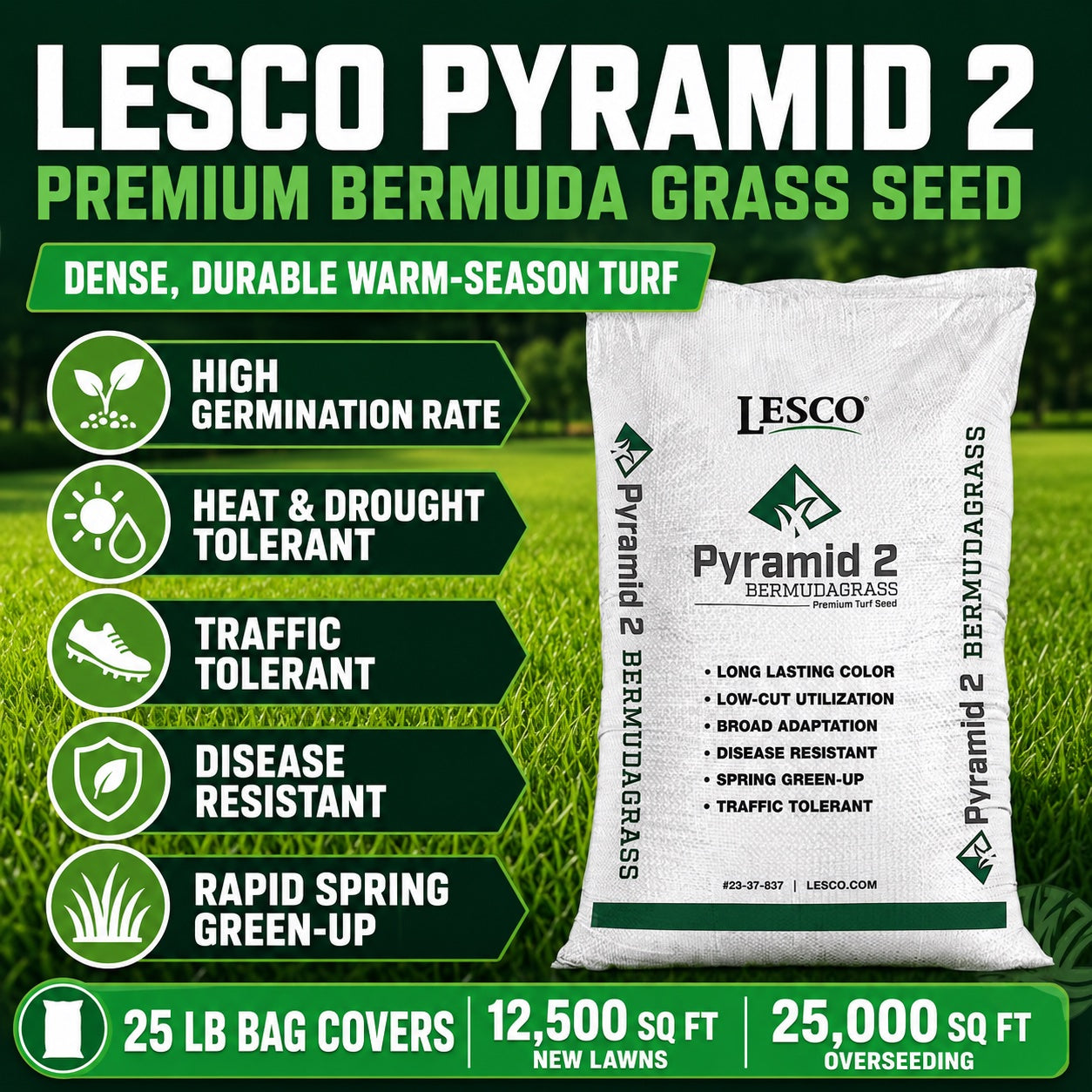 bermuda grass seed planting tips LESCO Pyramid 2 Bermuda Grass Seed (Coated) 25 lb