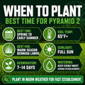 Infographic on when to plant Pyramid 2 grass seed with soil, sunlight, and watering information.