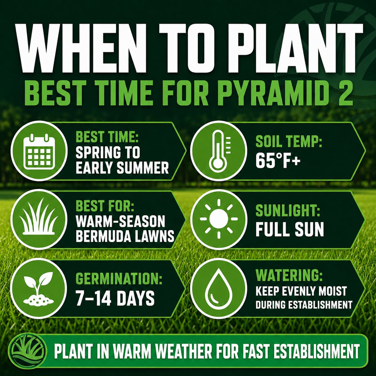 Infographic on when to plant Pyramid 2 grass seed with soil, sunlight, and watering information.