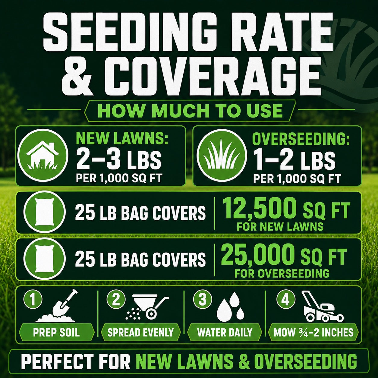 Infographic on seeding rate and coverage for new lawns and overseeding with green and white text.