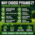Promotional graphic for Pyramid 2 Bermuda grass seed, listing benefits and uses.