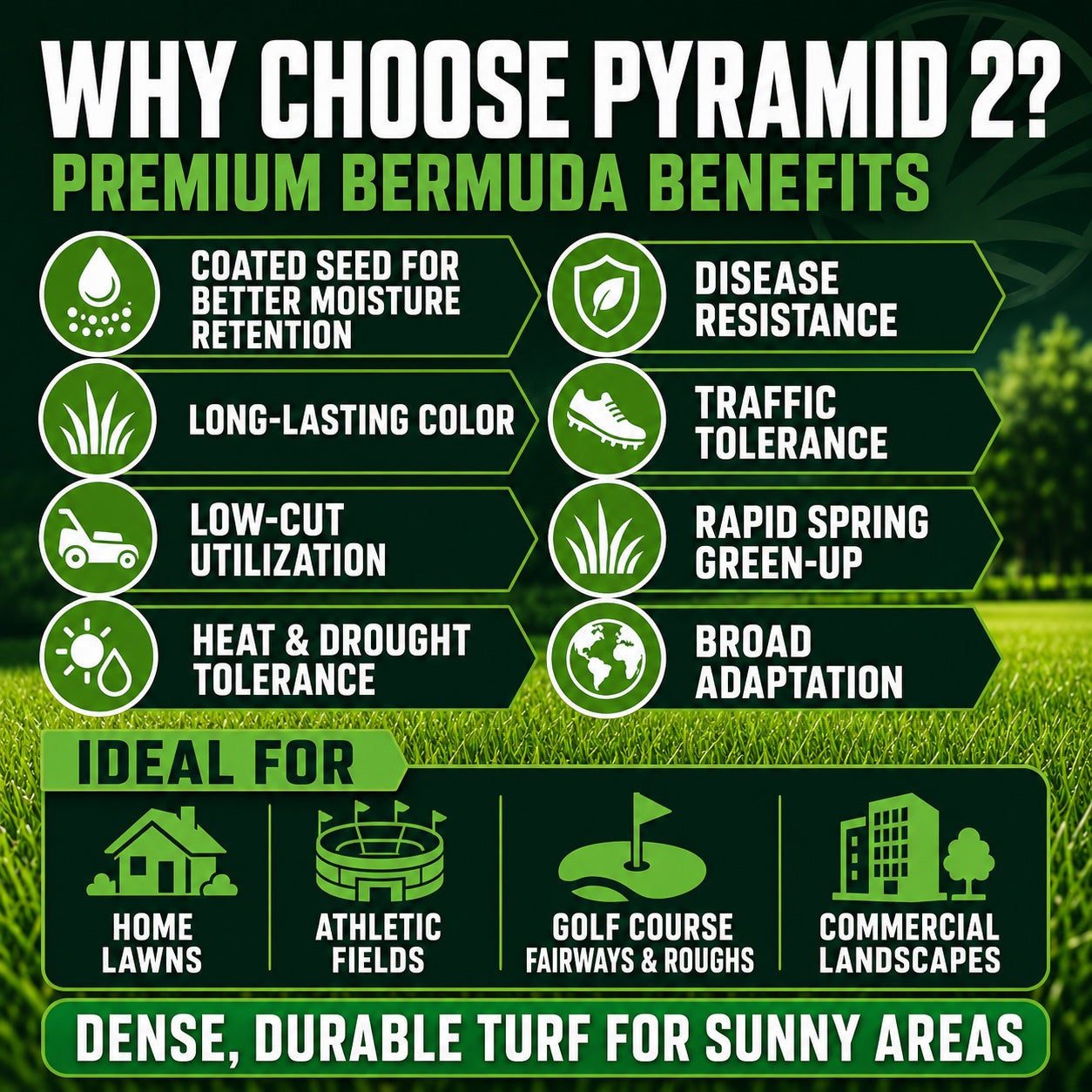 Promotional graphic for Pyramid 2 Bermuda grass seed, listing benefits and uses.