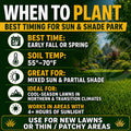 Lesco Sun & Shade Park Grass Seed