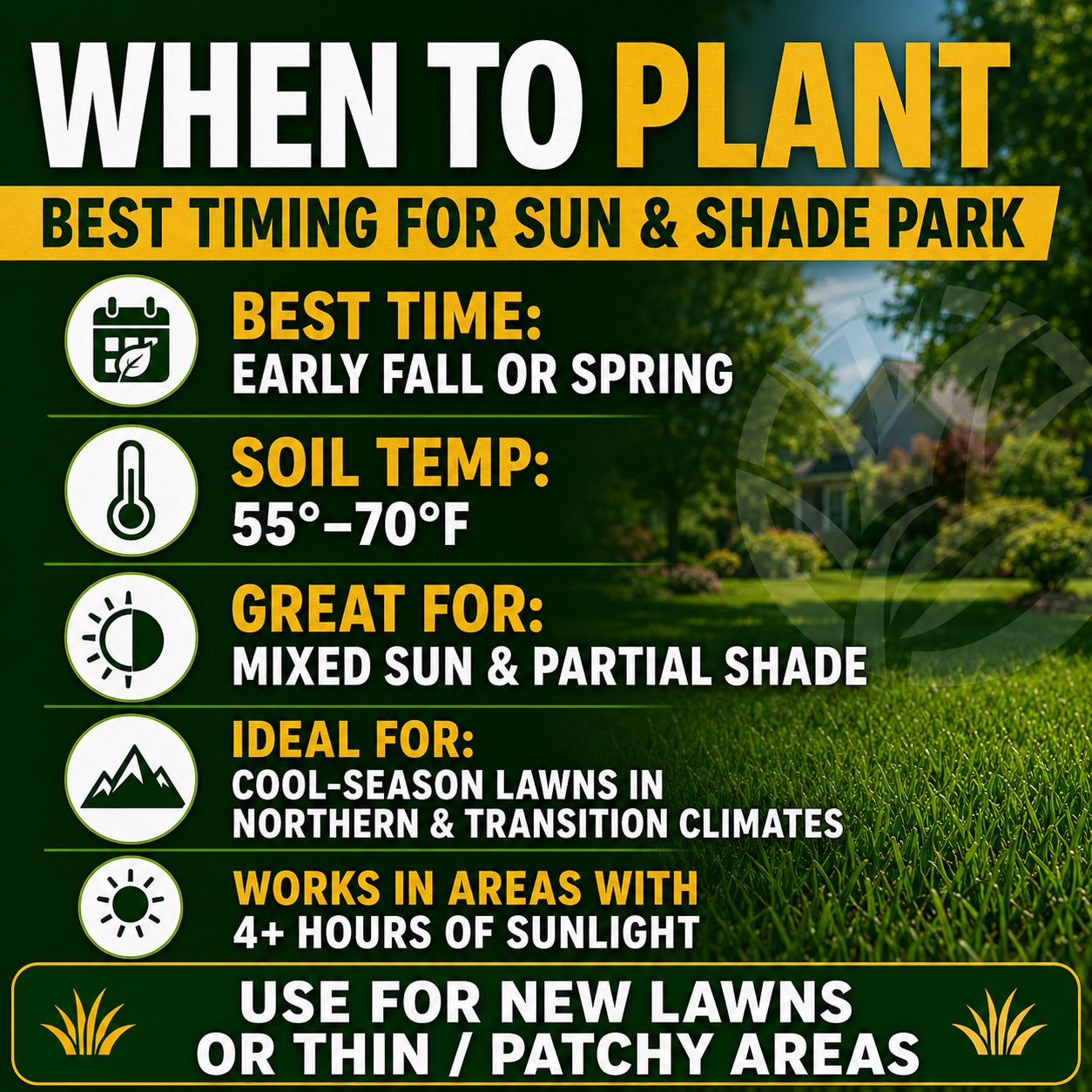 Lesco Sun & Shade Park Grass Seed