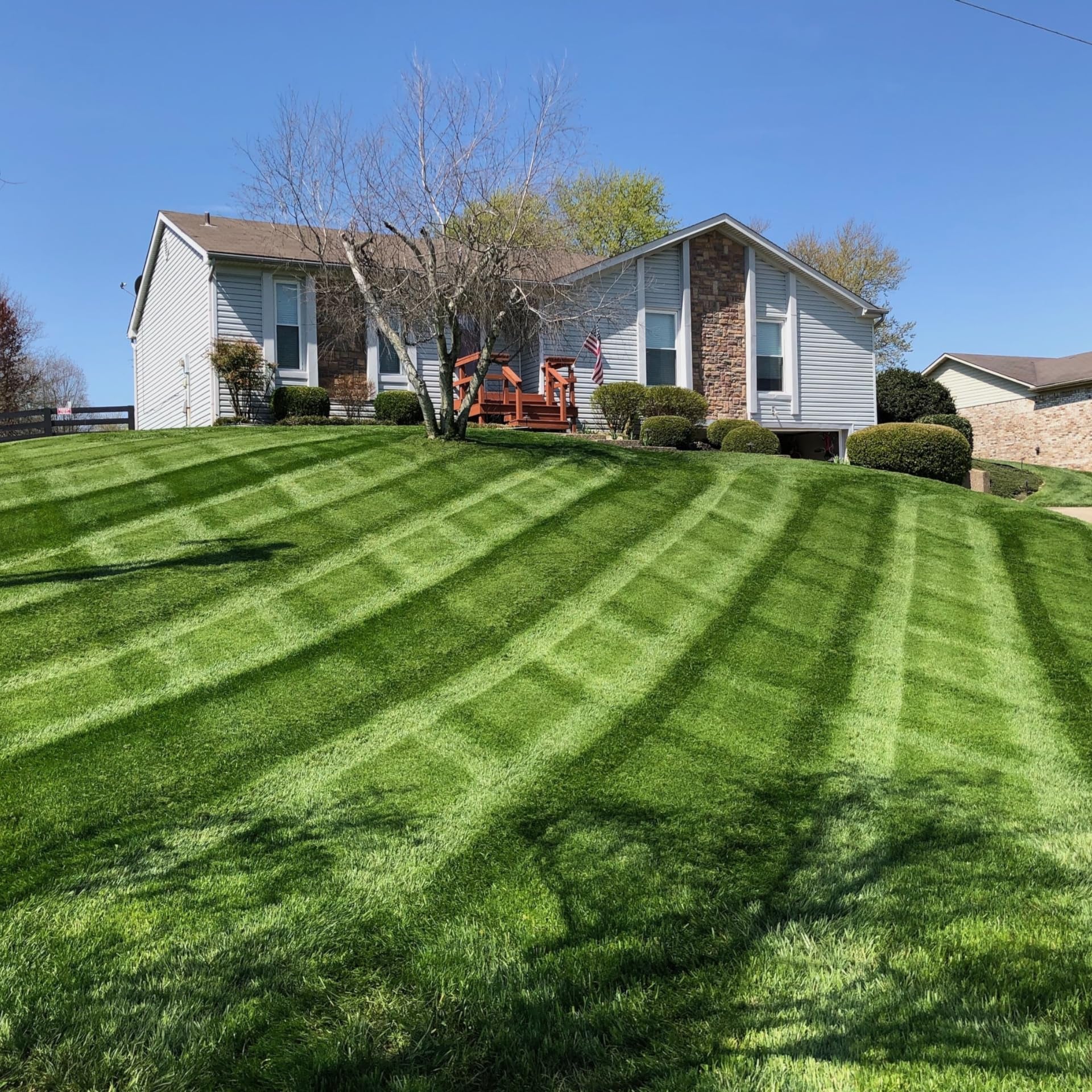 Lesco Tall Fescue Select Blend Grass Seed1