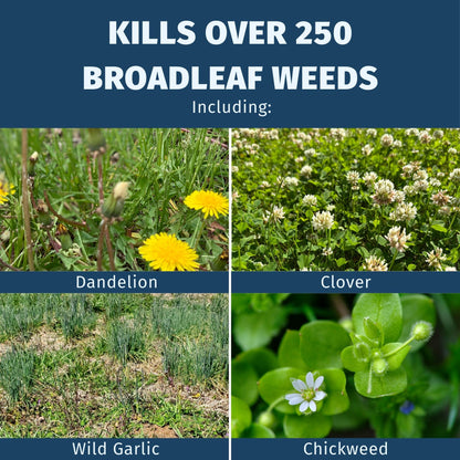Advertisement for a weed killer showing images of dandelion, clover, wild garlic, and chickweed with text indicating it kills over 250 broadleaf weeds.