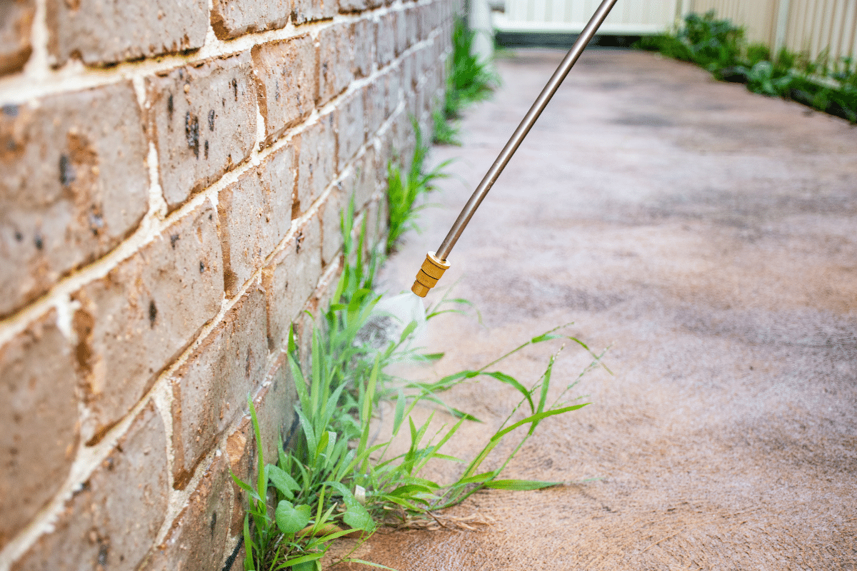 LESCO Prosecutor Pro Non-Selective Herbicide (Glyphosate 41%)