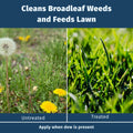 Comparison of broadleaf weeds and treated lawn with text indicating product benefits. lesco weed and feed