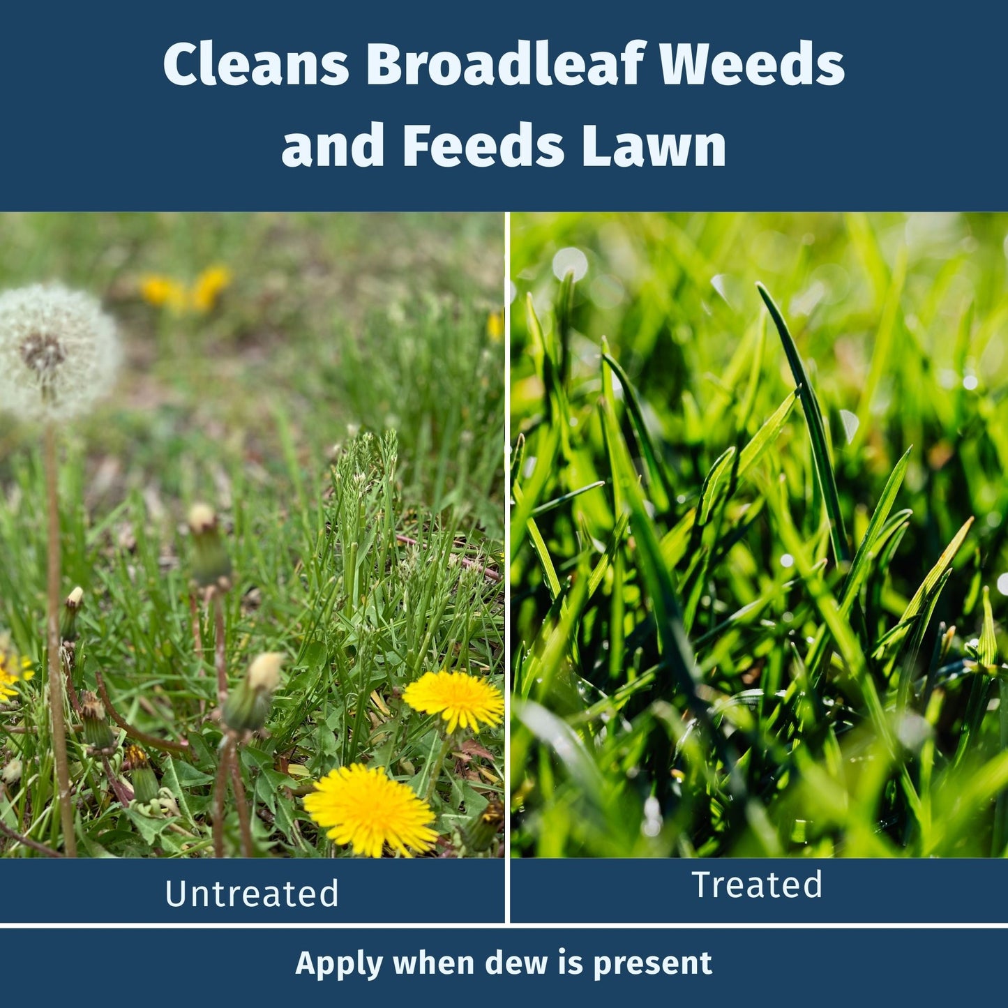 Comparison of broadleaf weeds and treated lawn with text indicating product benefits. lesco weed and feed