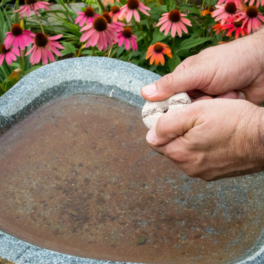 Mosquito Dunks - Biological Mosquito Larvae Control