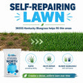 North Star Grass Seed - Kentucky Bluegrass & Tall Fescue Blend