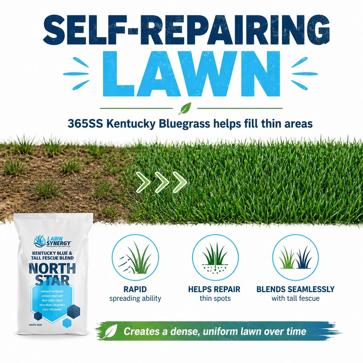 North Star Grass Seed - Kentucky Bluegrass & Tall Fescue Blend