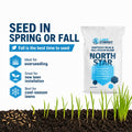 North Star Grass Seed - Kentucky Bluegrass & Tall Fescue Blend