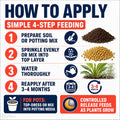Infographic on simple 4-step feeding for plants with text and icons.
