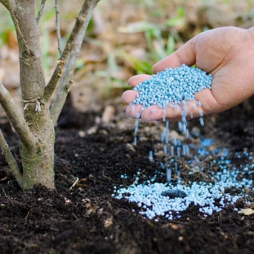 blue fertilizer for plants 14-14-14 Slow-Release Plant Fertilizer