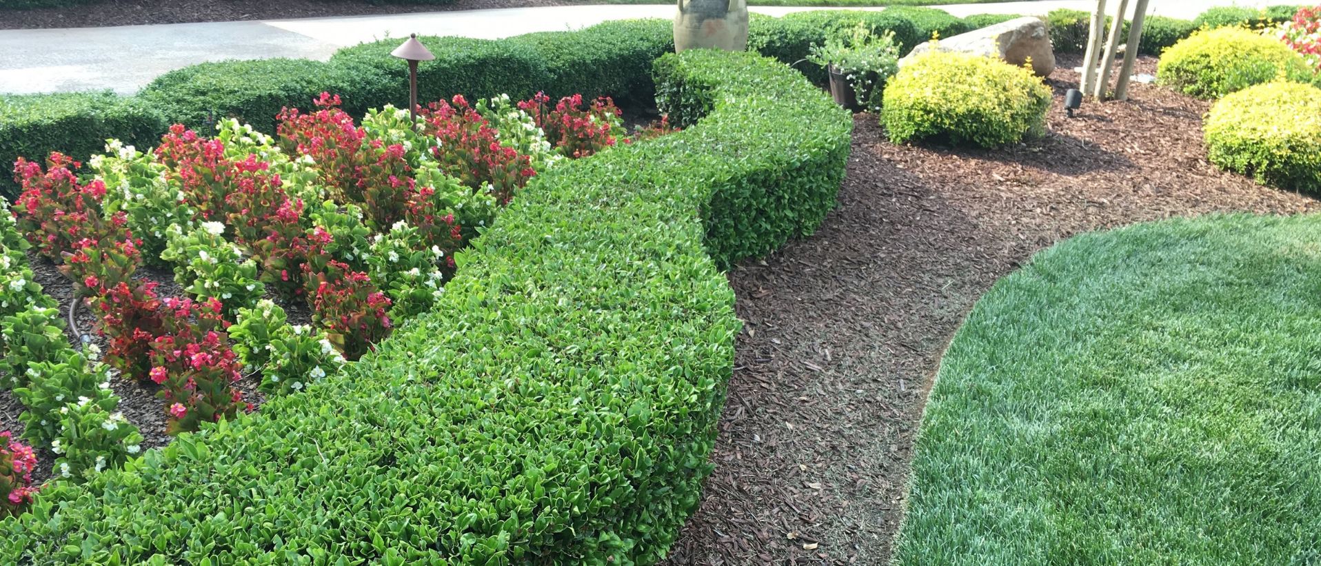 Plant Fertilizer