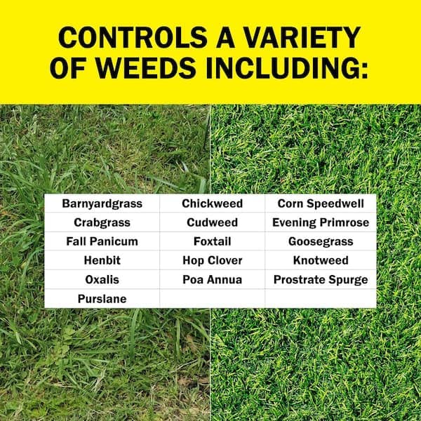 pre-emergent weeds controled