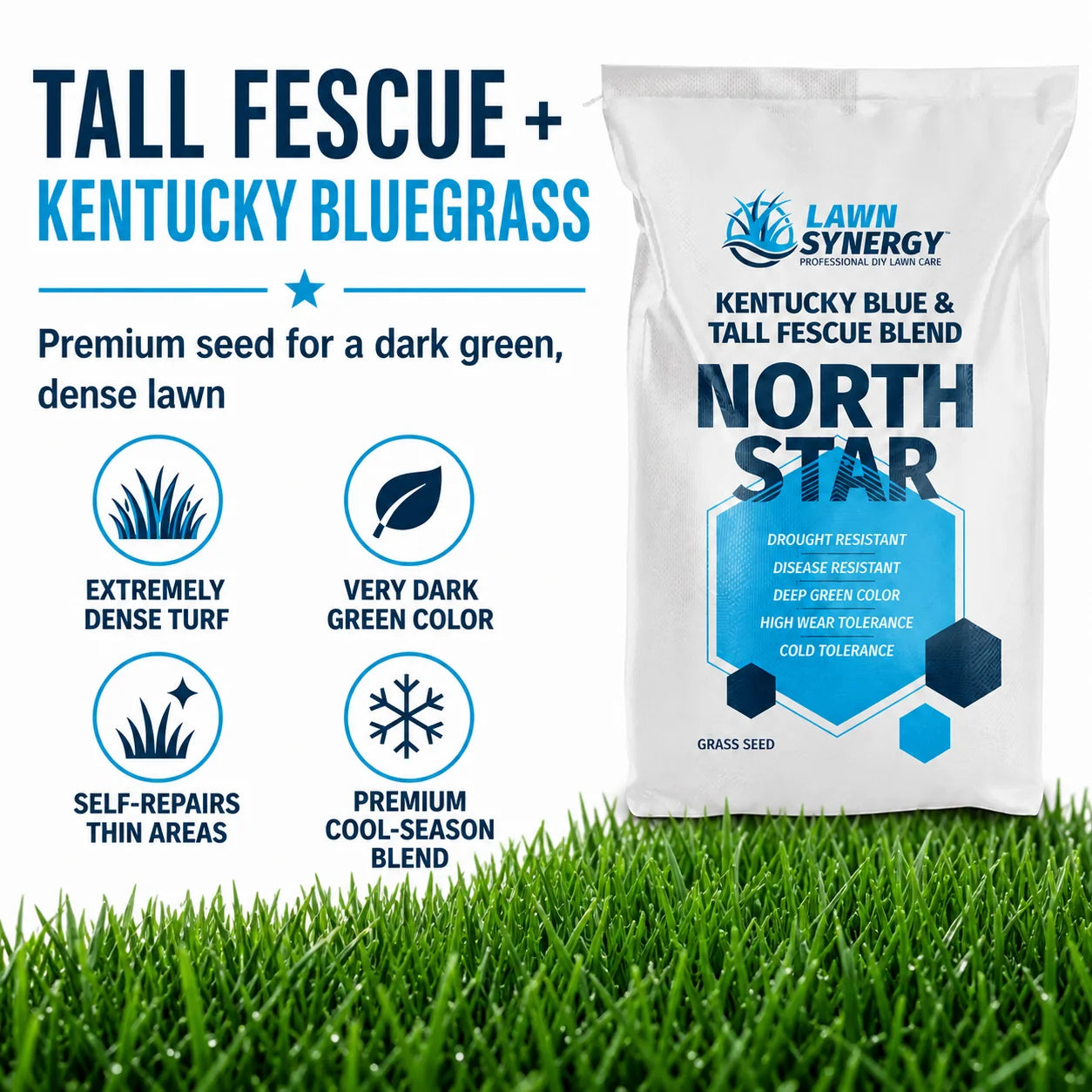North Star Grass Seed - Kentucky Bluegrass & Tall Fescue Blend
