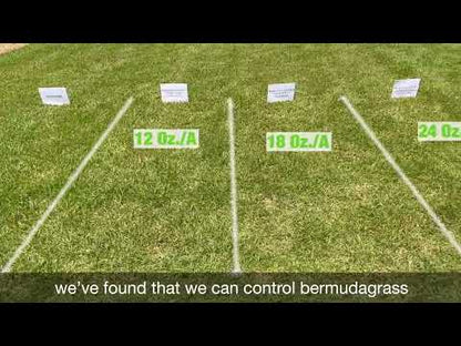 Recognition Herbicide remove bermuda in zoysia and St Augustine lawn